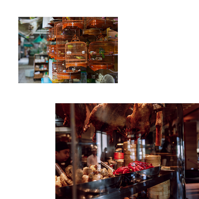 福岡の料理家の出張撮影のイメージフォト